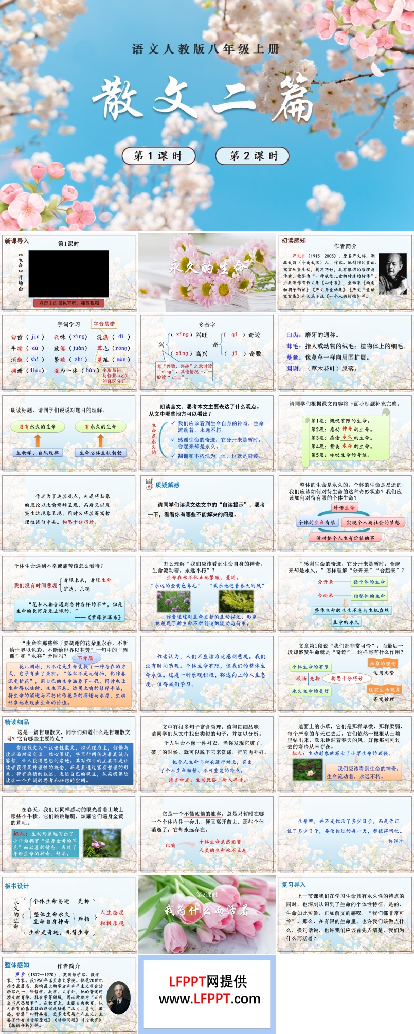 语文人教版八年级上册散文二篇PPT课件含教案