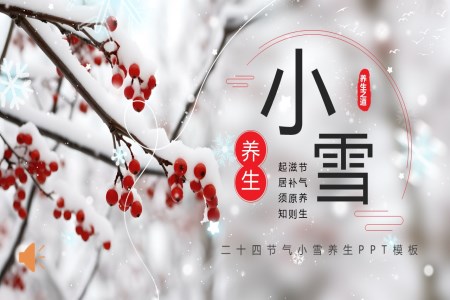 二十四节气小雪PPT课件含讲稿