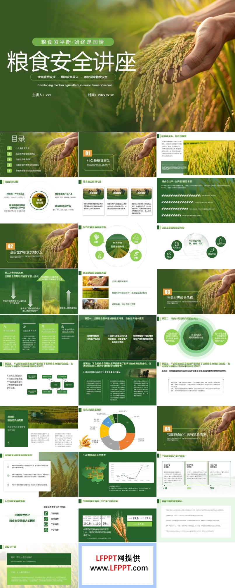 粮食安全讲座PPT专题模板