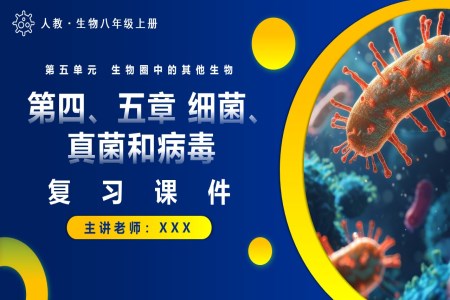 第五单元第四、五章细菌、真菌和病毒复习课件人教八年级生物上册PPT课件含教案