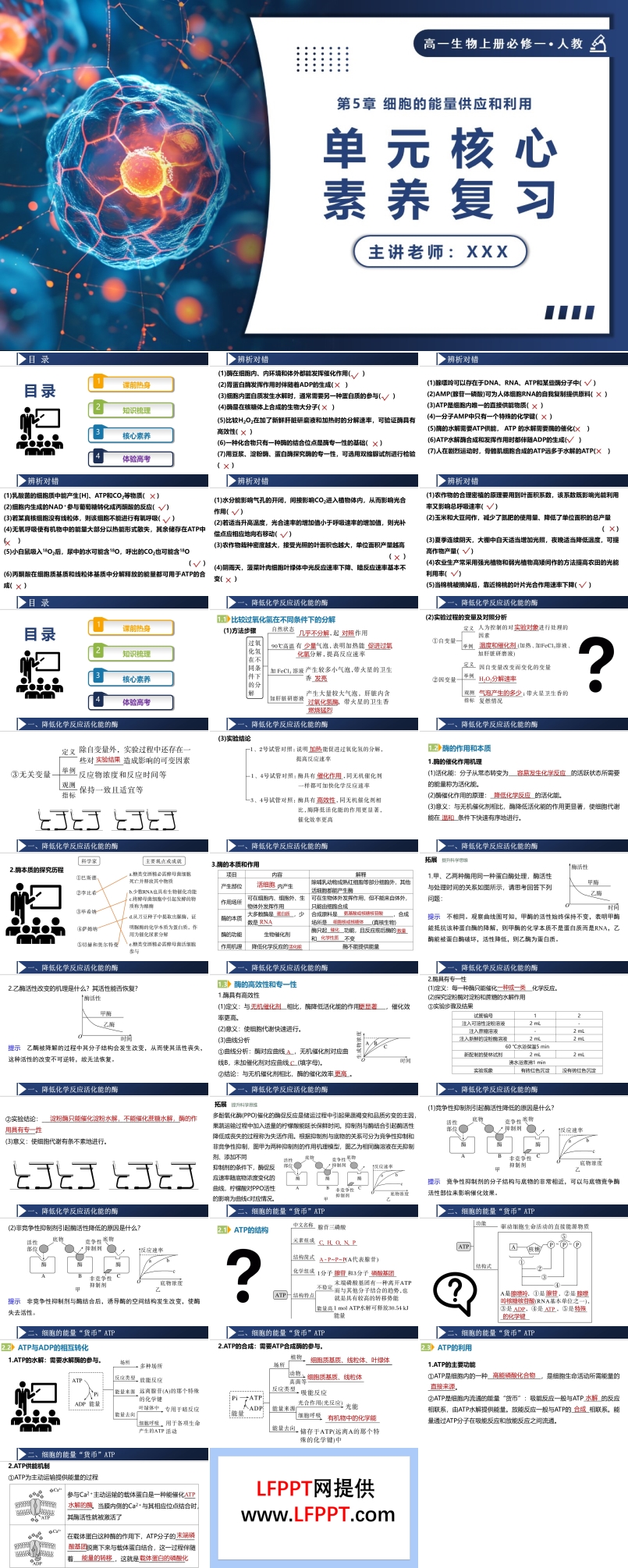 第5章细胞的能量供应和利用单元复习课件高一人教生物上册必修一PPT课件含教案