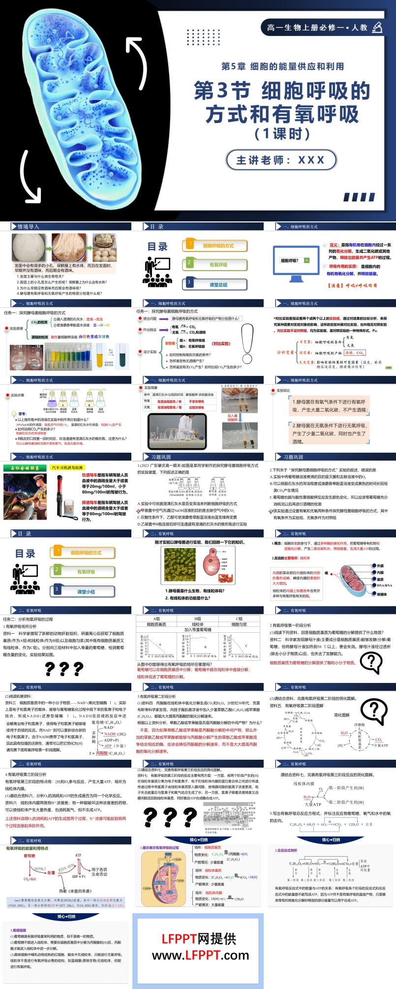 5.3.1细胞呼吸的方式和有氧呼吸高一人教生物上册必修一PPT课件含教案