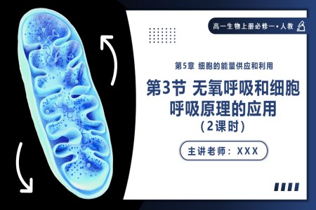 5.3.2无氧呼吸和细胞呼吸原理的应用高一人教生物上册必修一PPT课件含教案