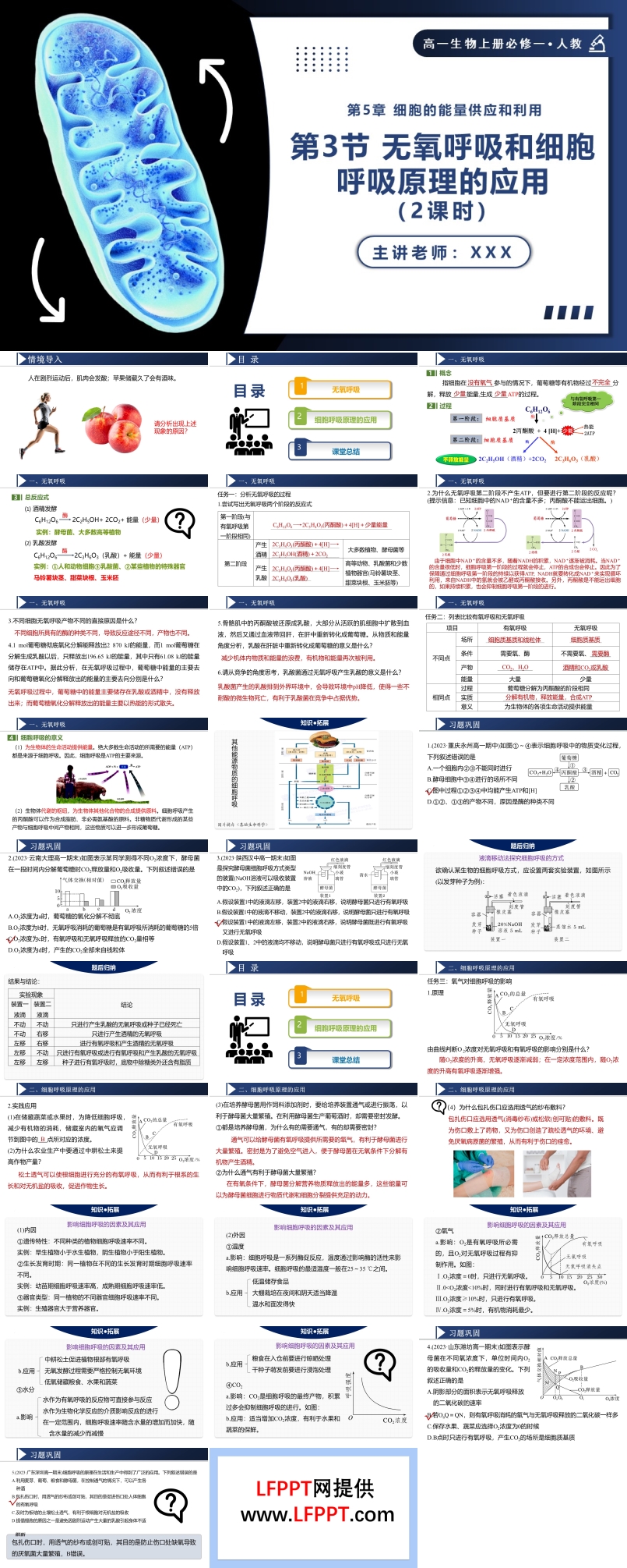 5.3.2无氧呼吸和细胞呼吸原理的应用高一人教生物上册必修一PPT课件含教案