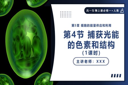 5.4.1捕获光能的色素和结构高一人教生物上册必修一PPT课件含教案