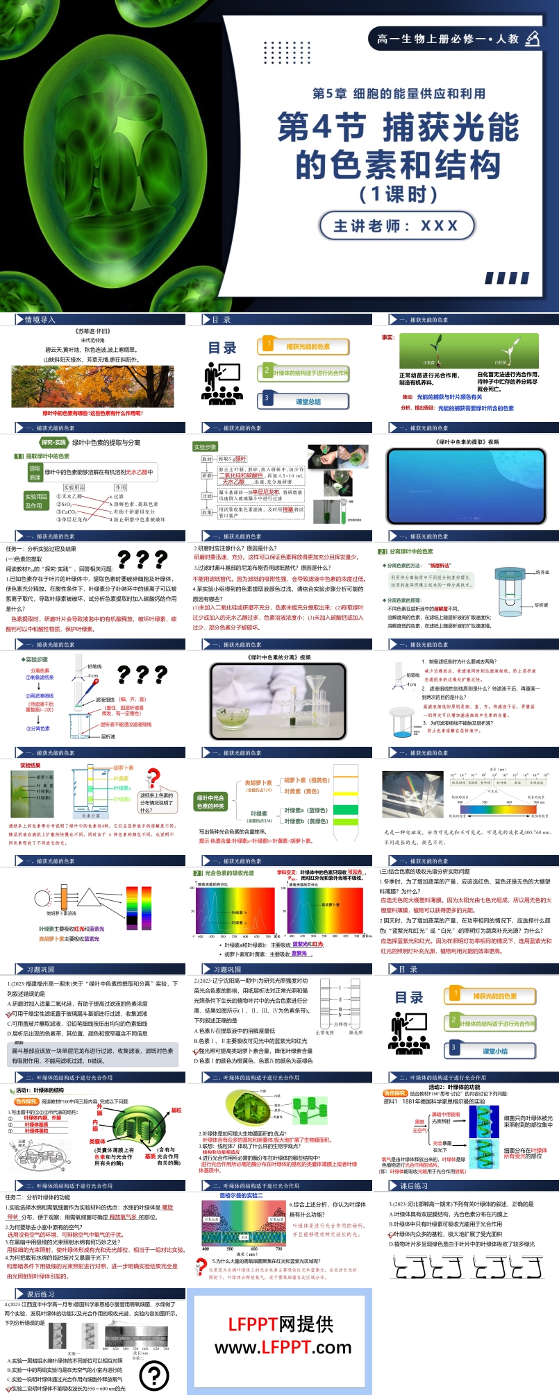 5.4.1捕获光能的色素和结构高一人教生物上册必修一PPT课件含教案