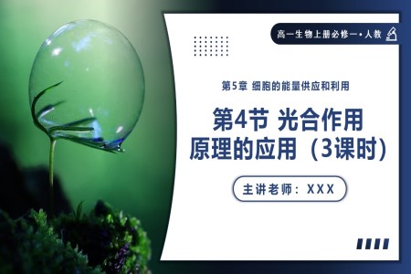 5.4.3光合作用原理的应用高一人教生物上册必修一PPT课件含教案