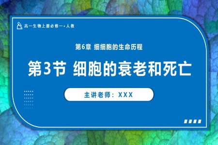 6.3细胞的衰老和死亡高一人教生物上册必修一PPT课件含教案