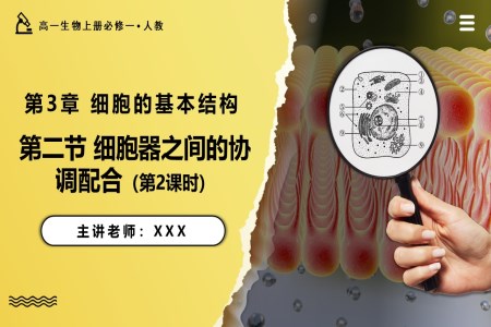 3.2.2细胞器之间的协调配合高一人教生物上册必修一PPT课件含教案