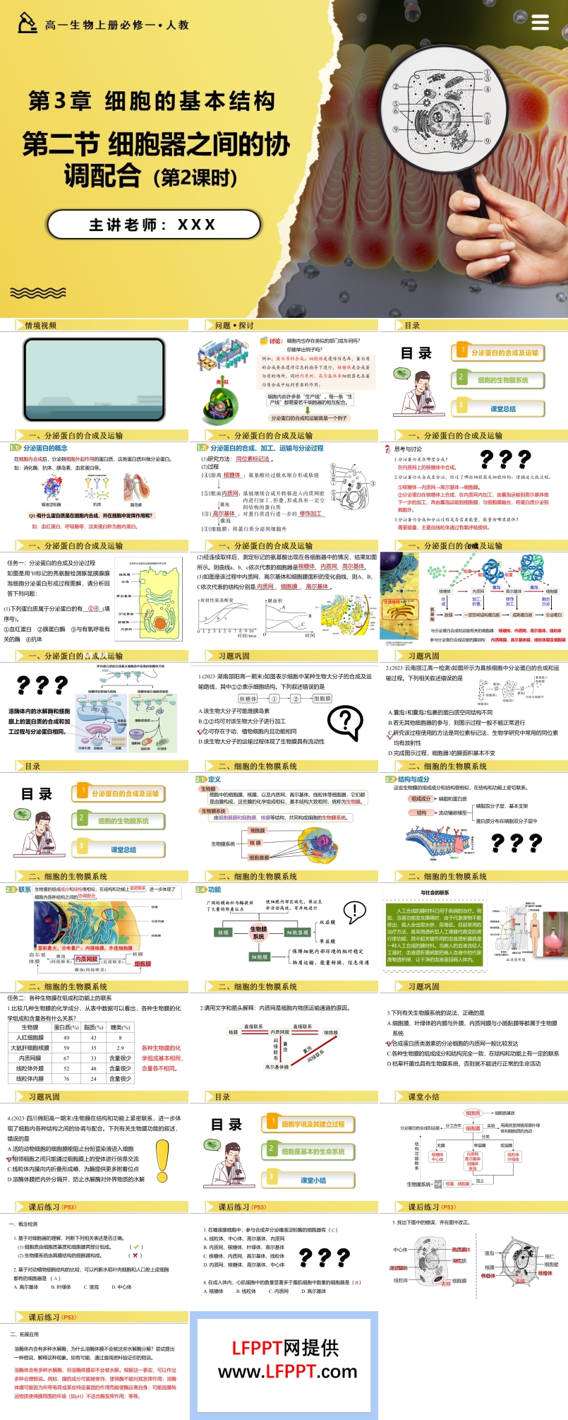 3.2.2细胞器之间的协调配合高一人教生物上册必修一PPT课件含教案