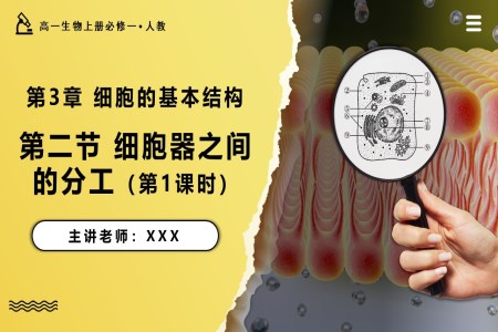 3.2.1细胞器之间的分工高一人教生物上册必修一PPT课件含教案