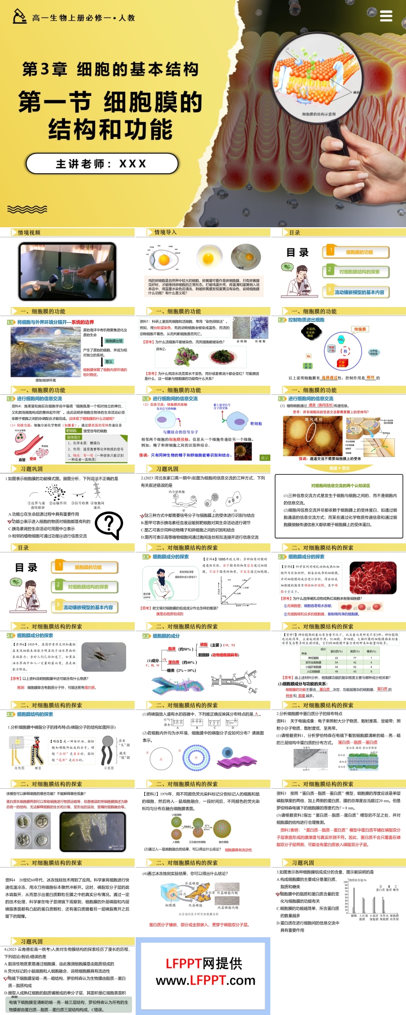 3.1细胞膜的结构和功能高一人教生物上册必修一PPT课件含教案