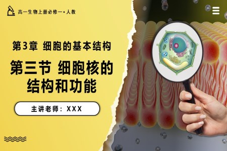 3.3细胞核的结构和功能高一人教生物上册必修一PPT课件含教案