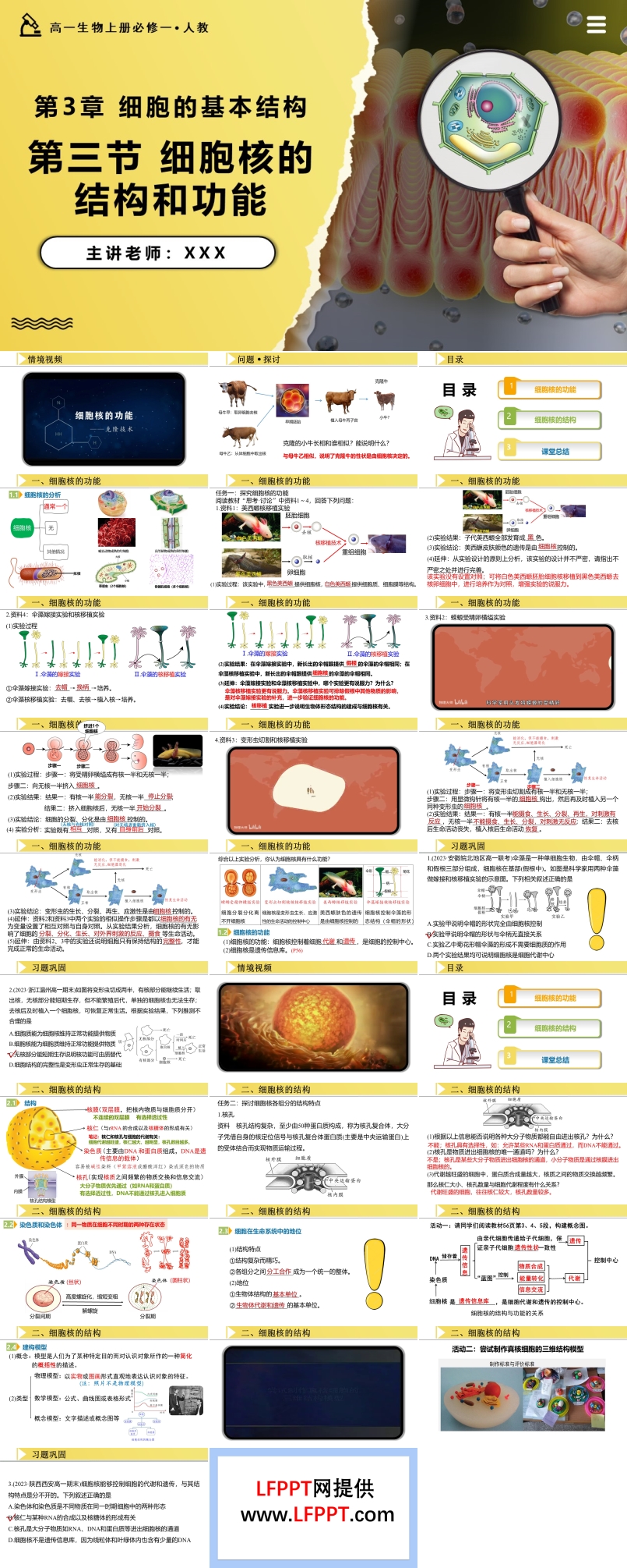 3.3细胞核的结构和功能高一人教生物上册必修一PPT课件含教案