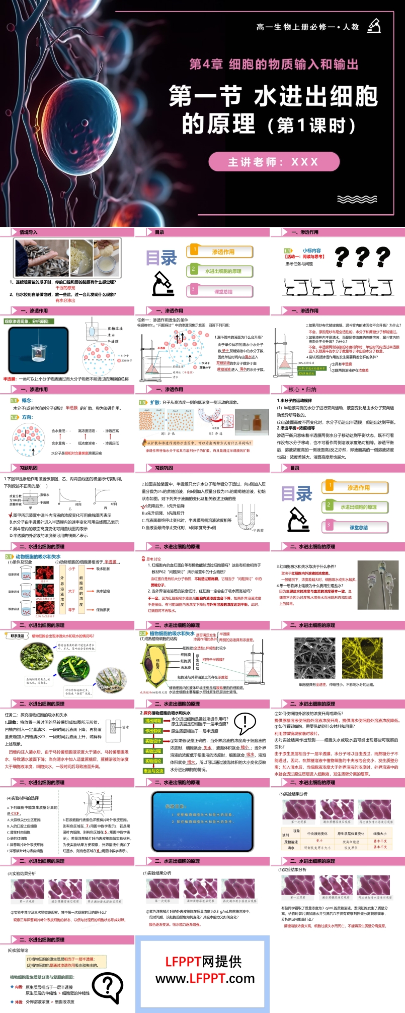 4.1水进出细胞的原理（第1课时）高一人教生物上册必修一PPT课件含教案