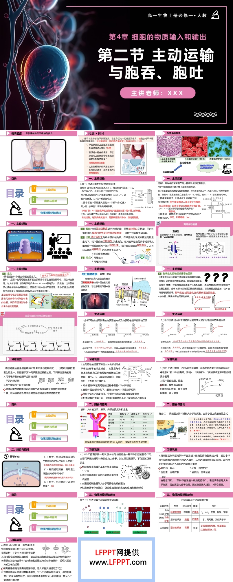 4.2主动运输与胞吞、胞吐高一人教生物上册必修一PPT课件含教案