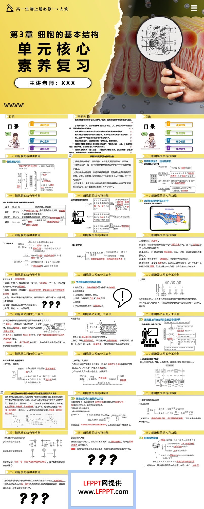 第3章细胞的基本结构单元复习课件高一人教生物上册必修一PPT课件含教案