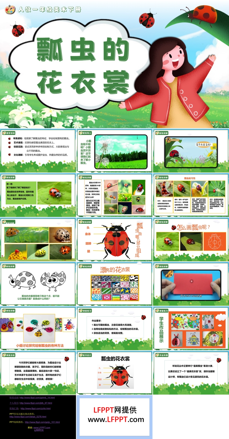 瓢虫的花衣裳人教美术一年级下册PPT课件含教案