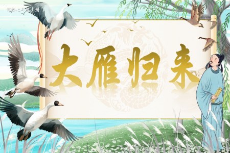 《大雁归来》部编语文七年级上册19课PPT课件含教案