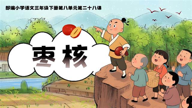 《枣核》部编语文三年级下册PPT课件含教案