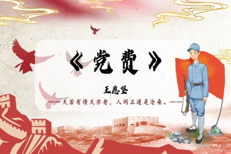《党费》统编语文高二必修PPT课件含教案