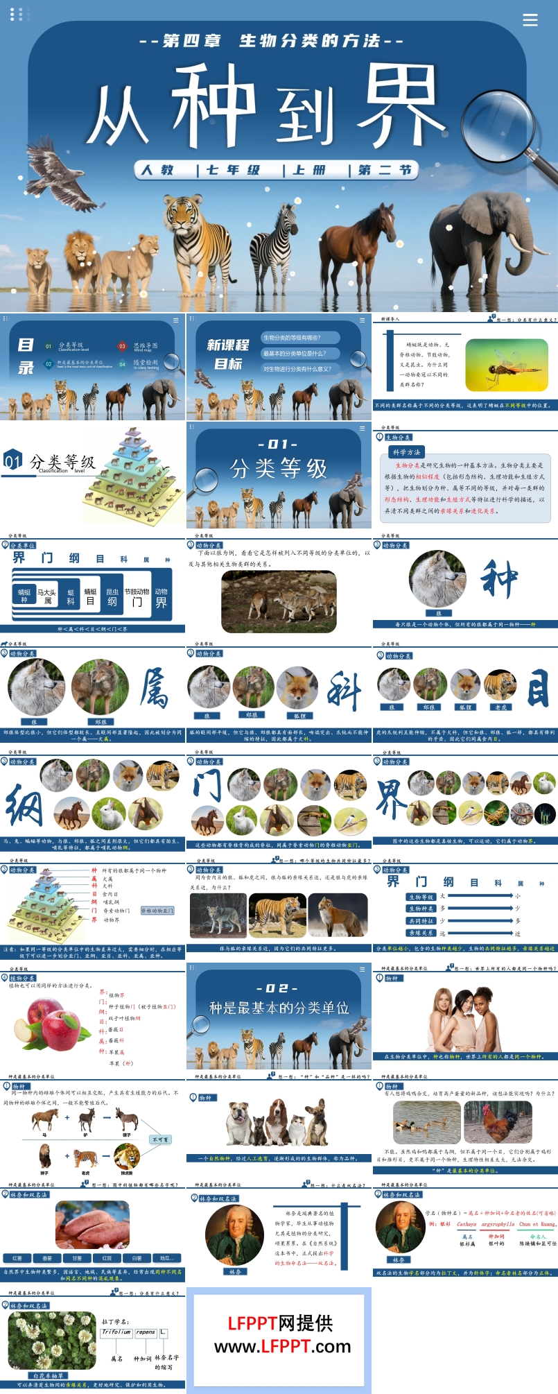 从种到界生物人教七年级生物上册PPT课件含教案