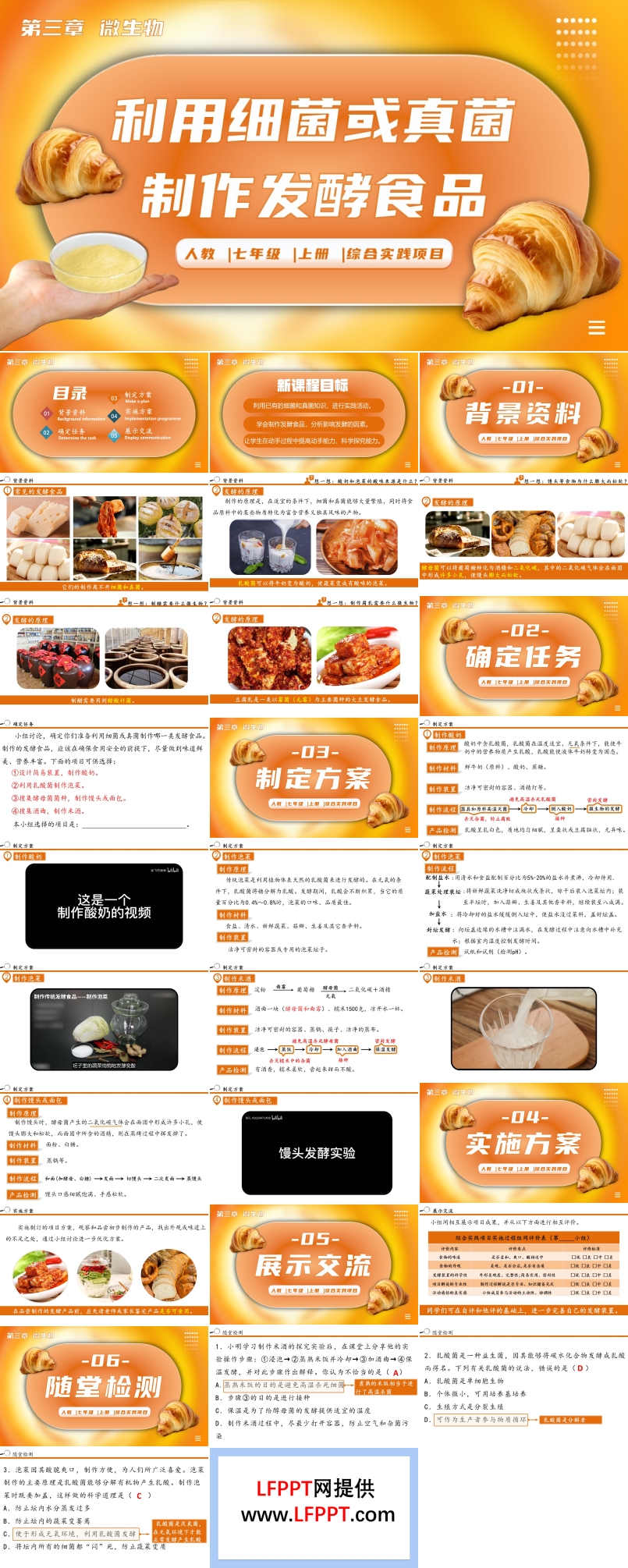 综合实践项目利用细菌或真菌制作发酵食品生物人教七年级生物上册PPT课件含教案