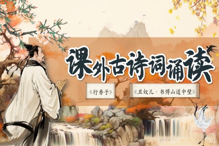 课外古诗词诵读《行香子》《丑奴儿·书博山道中壁》部编语文九年级上册PPT课件含教案
