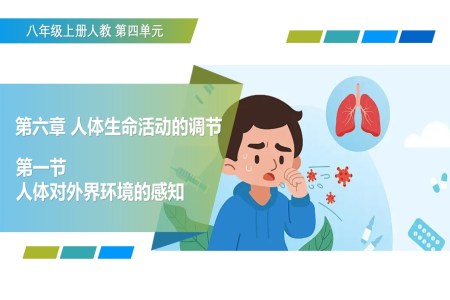4.6.1 人体对外界环境的感知（教学课件）八年级生物上册 人教ppt课件含教案