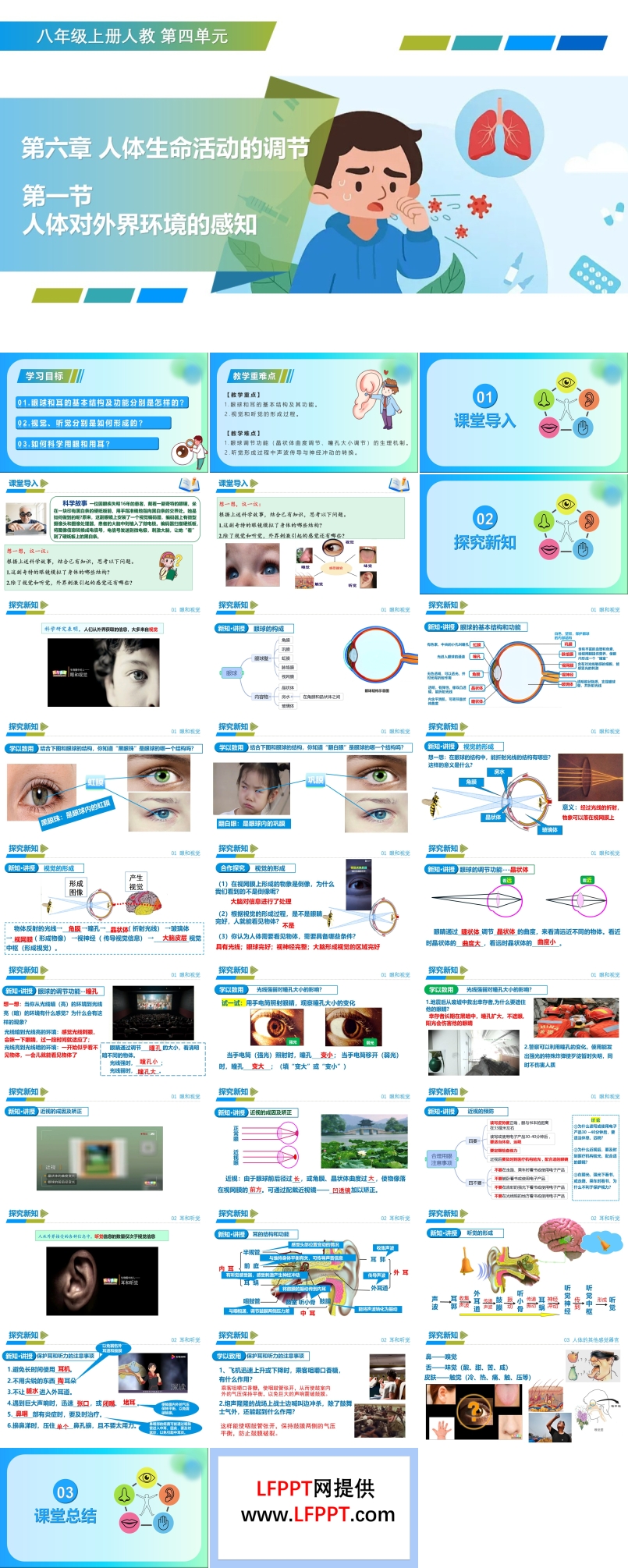 4.6.1 人体对外界环境的感知（教学课件）八年级生物上册 人教ppt课件含教案