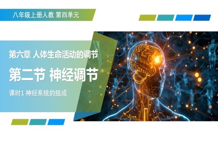 4.6.2 神经调节 第1课时（教学课件）八年级生物上册 人教 ppt课件含教案