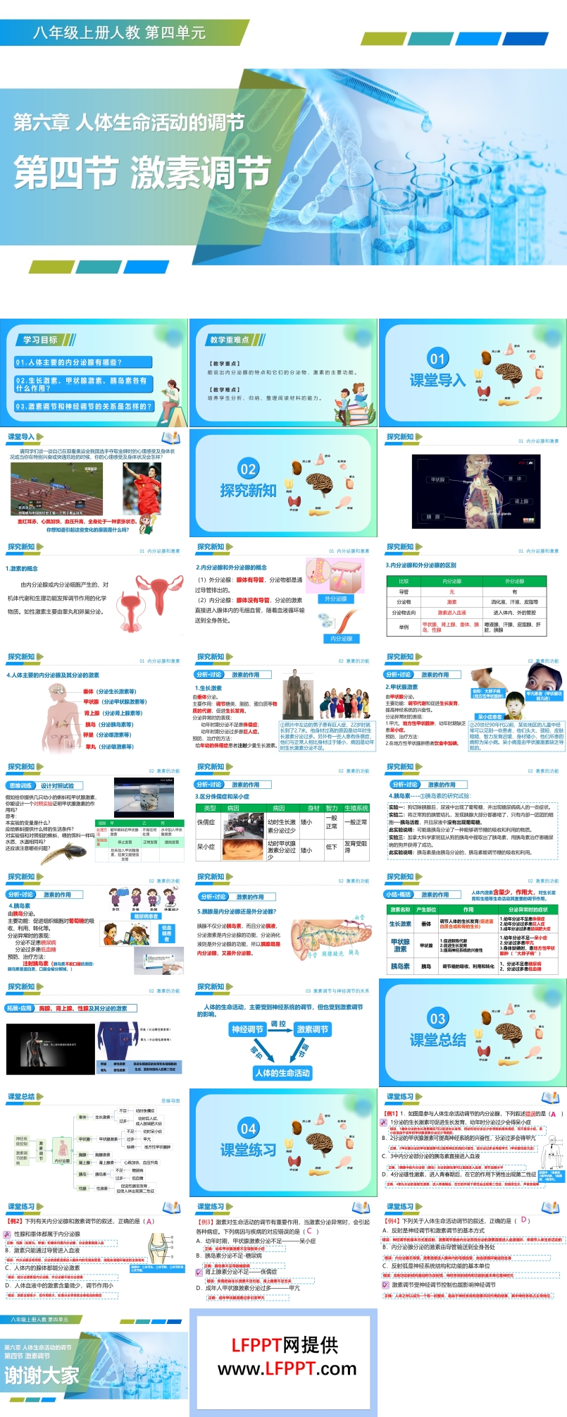 4.6.4 激素调节（教学课件）八年级生物上册 人教 ppt课件含教案