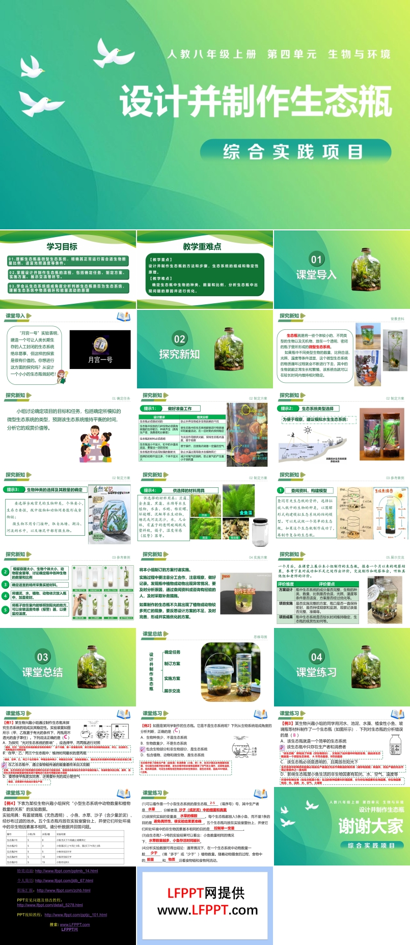 综合实践项目 设计并制作生态瓶（教学课件）八年级生物上册 人教 ppt课件含教案