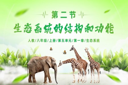 5.1.2 生态系统的结构和功能（教学课件）八年级生物上册人教 ppt课件含教案