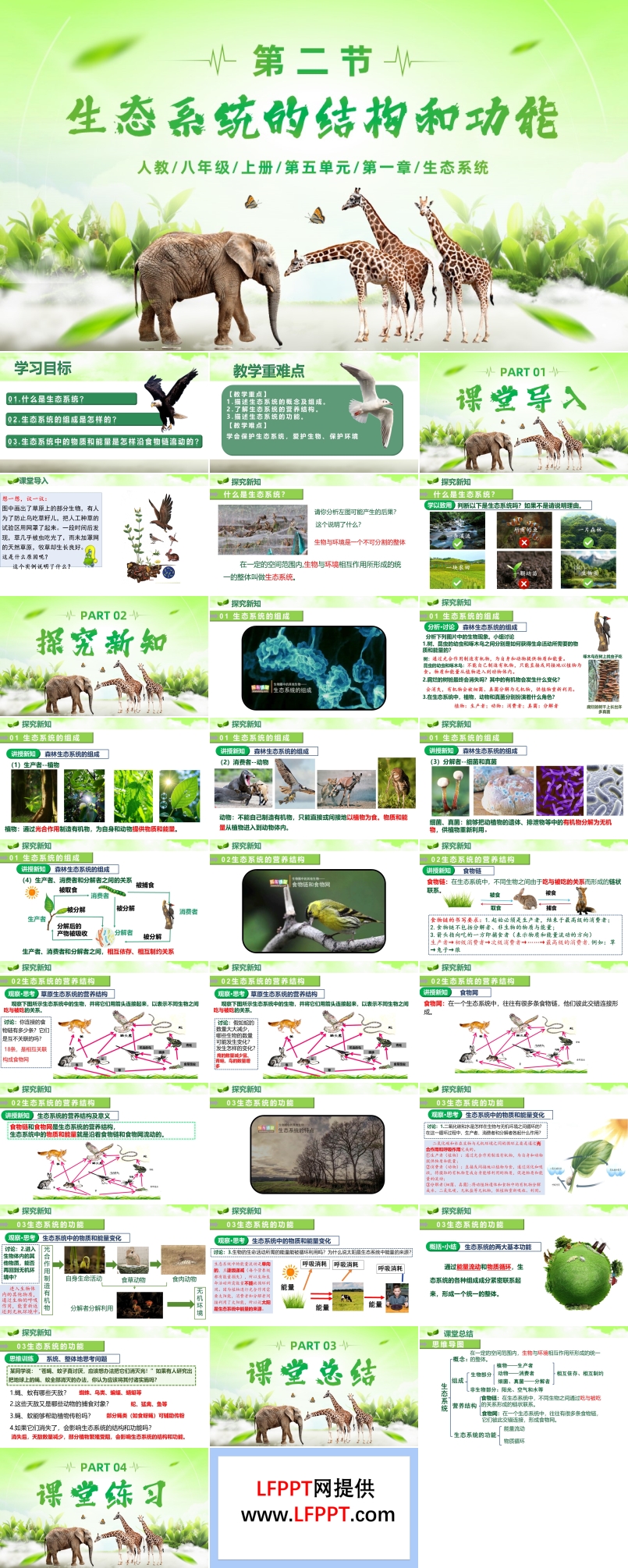 5.1.2 生态系统的结构和功能（教学课件）八年级生物上册人教 ppt课件含教案