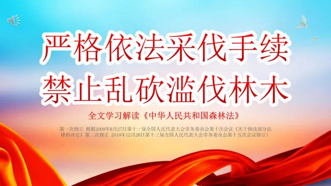 世界森林日严格依法采伐手续禁止乱砍乱伐林木宣传推广世界森林日ppt模板