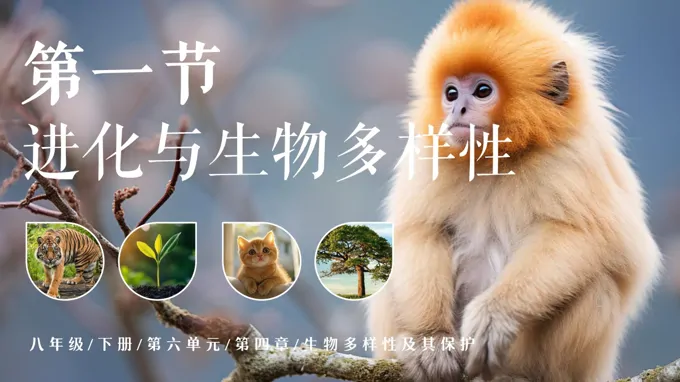 八年级下册人教 生物六单元第四章《6.4.2 人与自然和谐共生》ppt课件（教案）