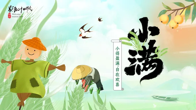 二十四节气小满PPT动态含讲稿之小满ppt模板