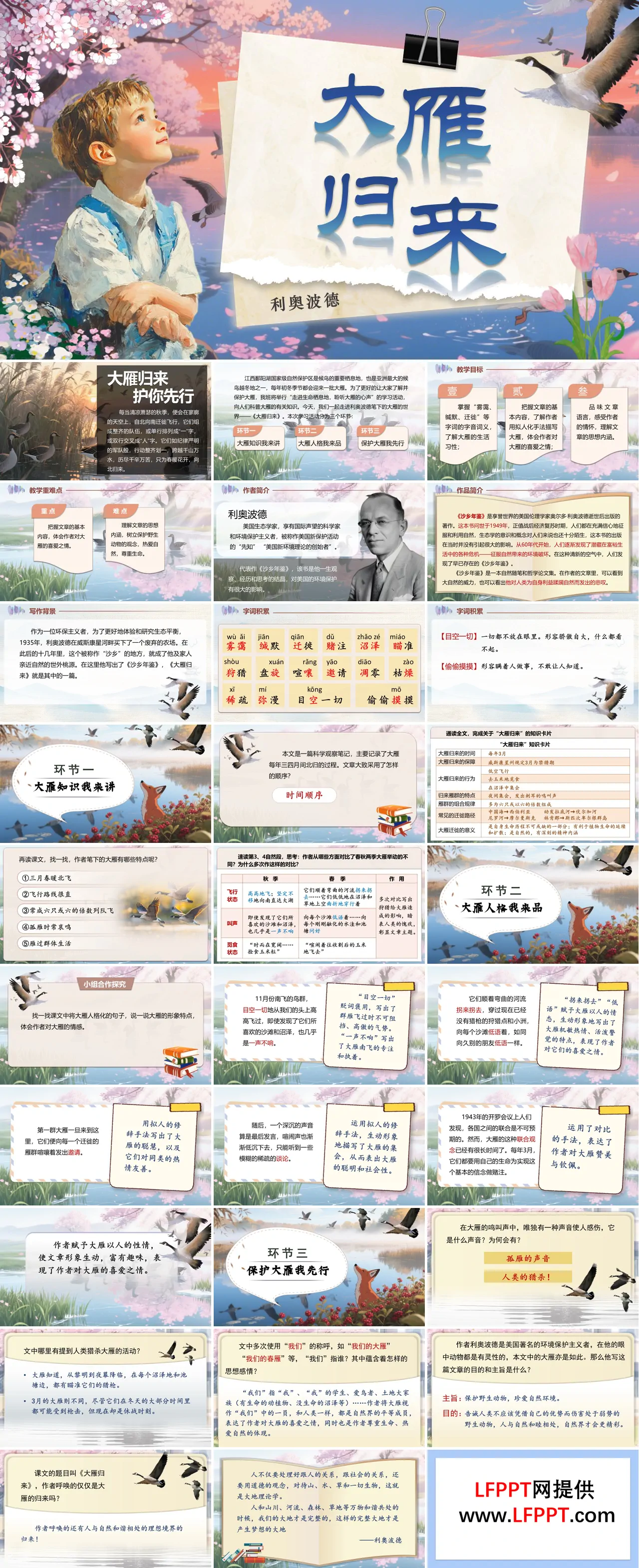 《大雁归来》部编语文七年级上册PPT课件含教案