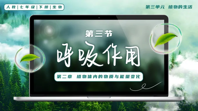 3.2.3 呼吸作用七年级生物下册第三单元PPT课件（教案+导学案+分层作业）