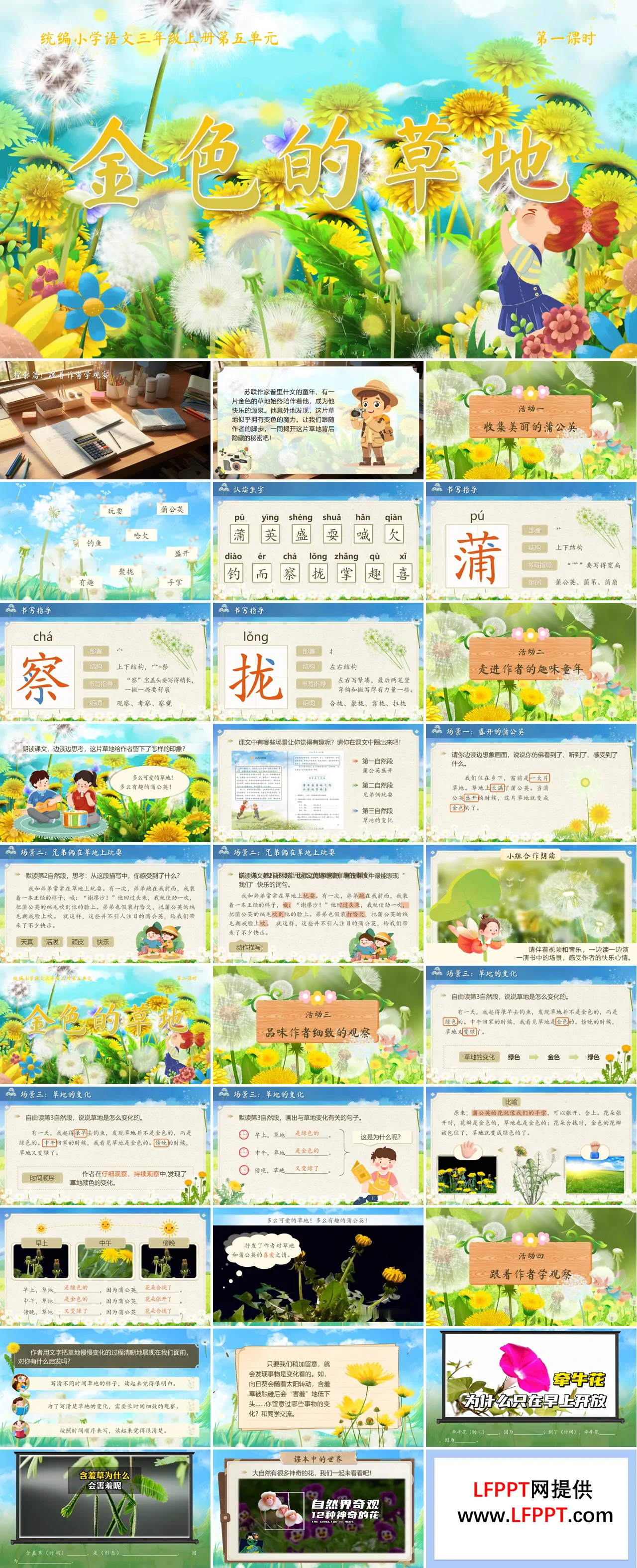 《金色的草地》统编语文三年级上册第五单元PPT课件含教案