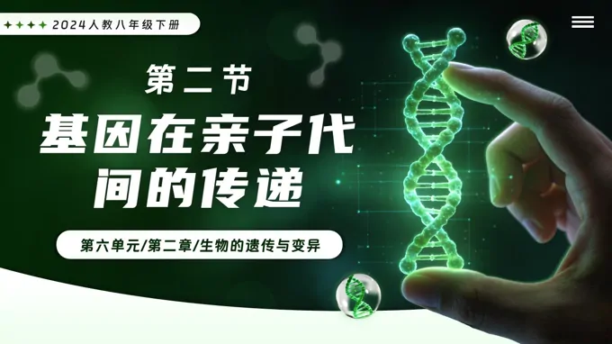 6.2.2 基因亲子代间的传递新教材人教八年级生物下册第2章PPT课件（含教案+导学案+提升讲义+分层作业）
