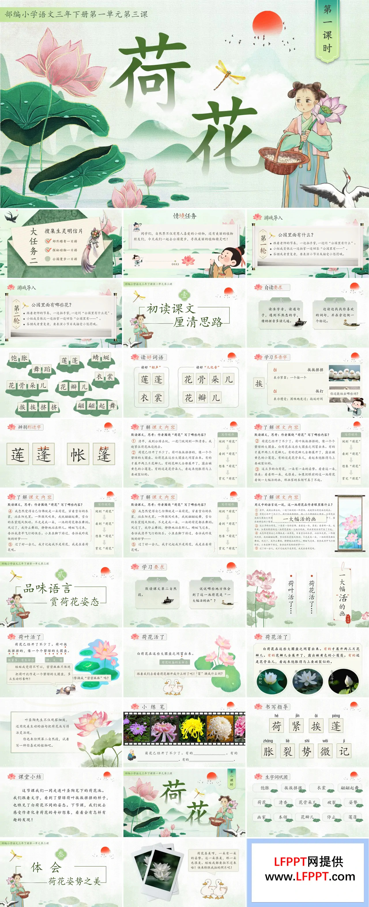 统编小学语文三年级语文下册荷花PPT课件含教案