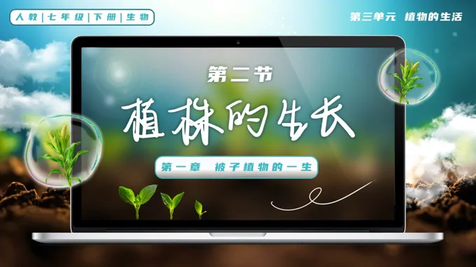 3.1.2 植株的生长七年级生物下册第三单元PPT课件（教案+导学案+分层作业）
