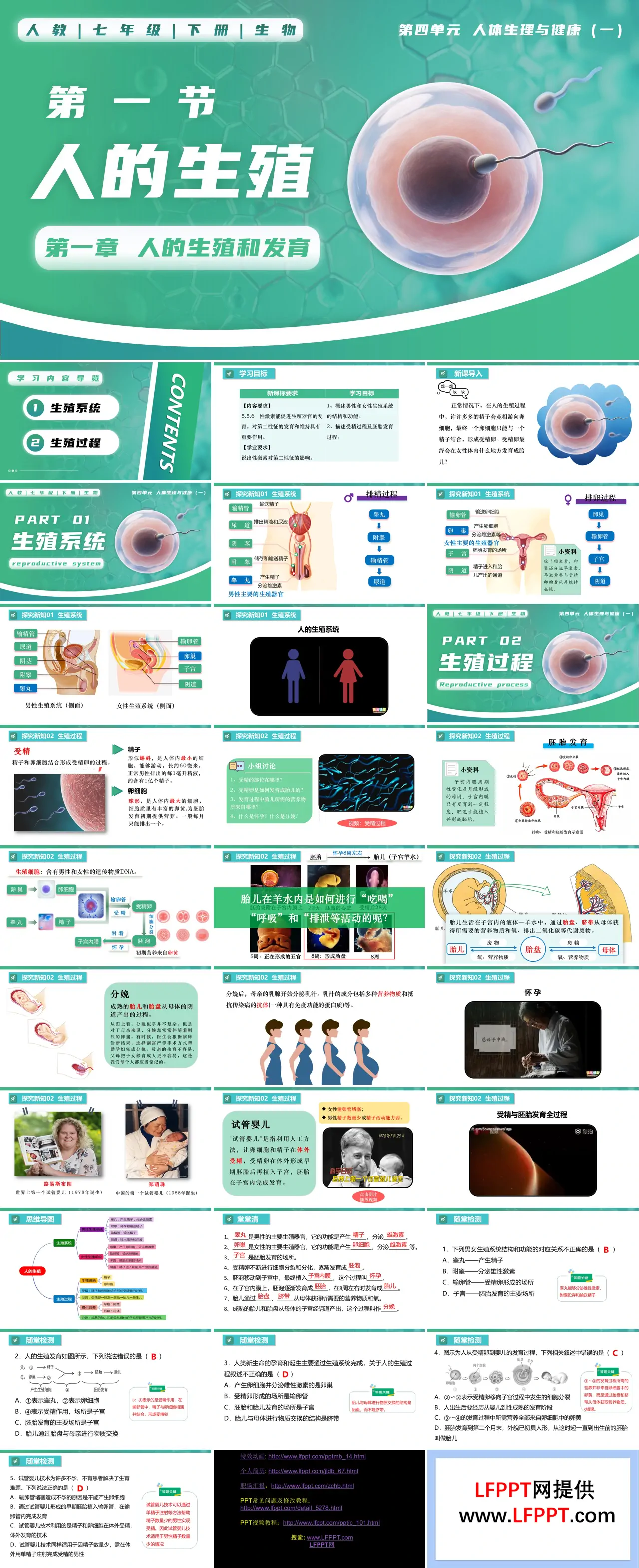 4.1.1 人的生殖七年级生物下册第四单元PPT课件（教案+导学案+分层作业）