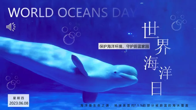 2023世界海洋日介绍世界海洋日ppt模板