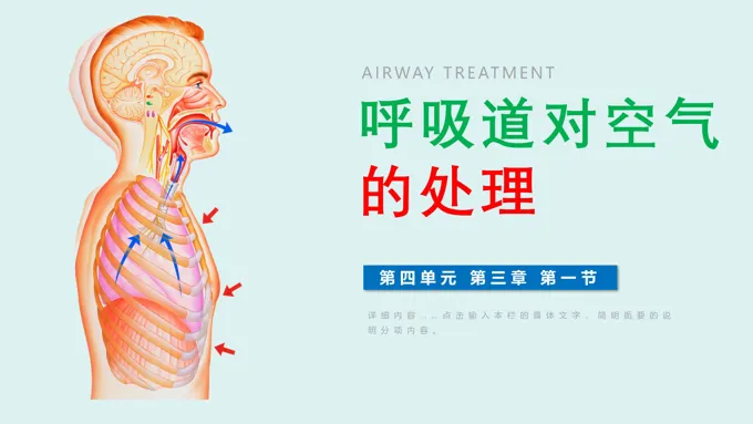 呼吸道对空气的处理ppt课件