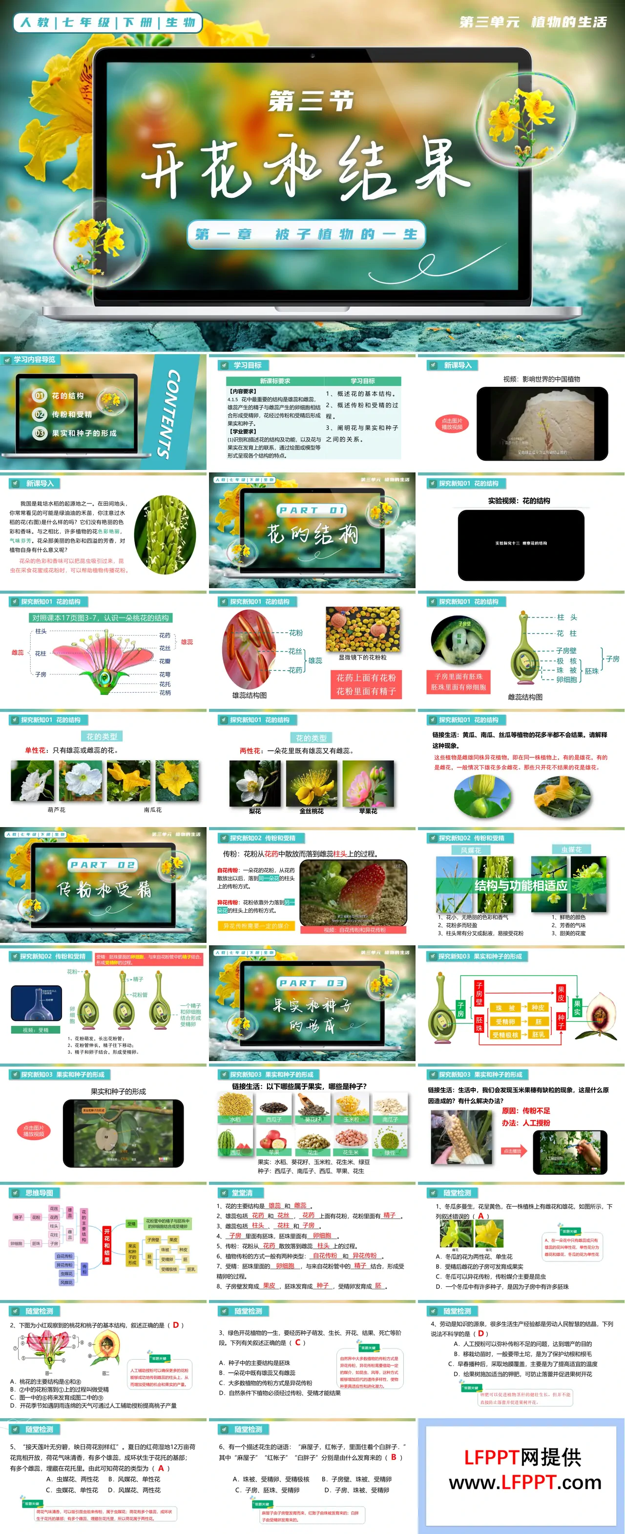 3.1.3 开花和结果七年级生物下册第三单元PPT课件（教案+导学案+分层作业）