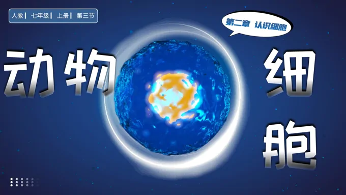 动物细胞人教七年级生物上册PPT课件含教案-38页-大小160M