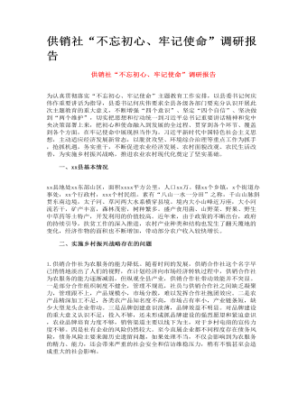 供销社“不忘初心、牢记使命”调研报告